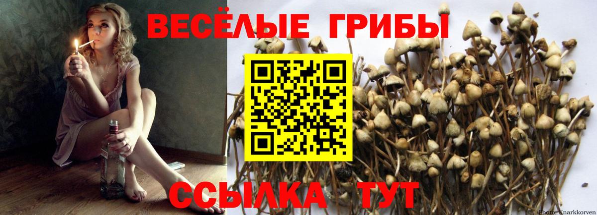Галлюциногенные грибы Magic Shrooms  Вход с VPN  Галлюциногенные грибы MAGIC MUSHROOMS  Химки 