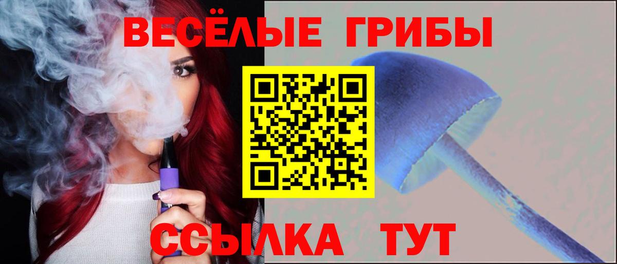 Галлюциногенные грибы Psilocybine cubensis Химки